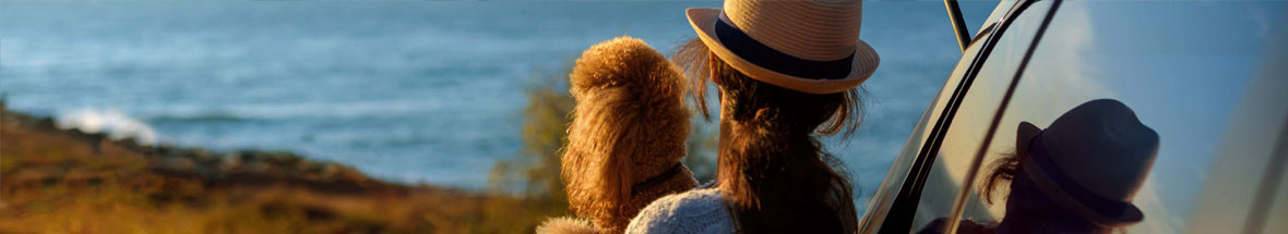 woman with her dog, sitting in front of the ocean