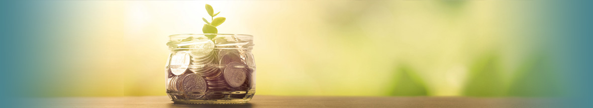 jar of coins with a plant growing out of it