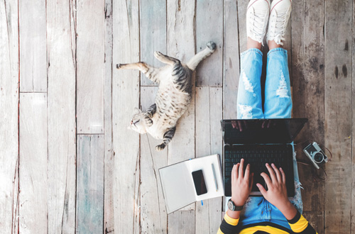 person on a laptop next to a sprawled out kitty